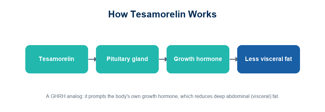 Diagram of how tesamorelin stimulates the body's growth hormone to reduce visceral abdominal fat